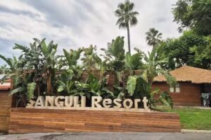 Camping Sangulí