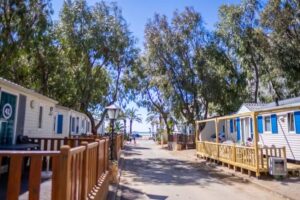 Camping Sant Salvador