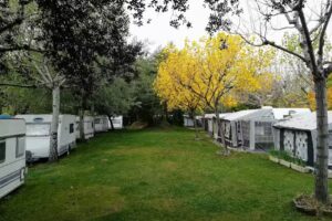 Càmping Serrat Roig Avià