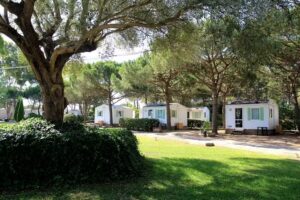 Camping tres estrellas Barcelona