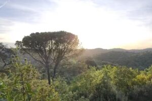 Campo Bosco – Córdoba