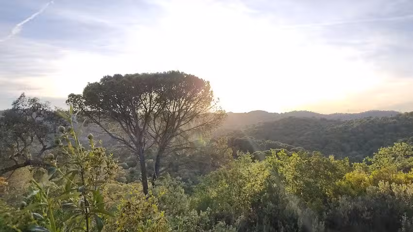 Campo Bosco – Córdoba