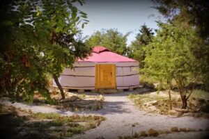 Campo de Reyes (YURTAS)