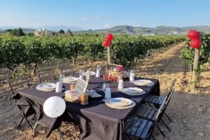 Can Batlle Experience