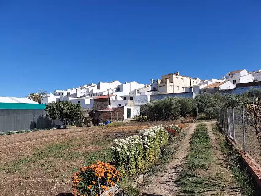Casa Alfredo