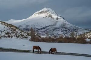 Casa Chacón. Casa rural