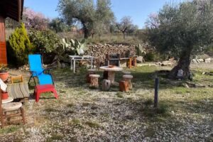 Casa Colina Mandarina