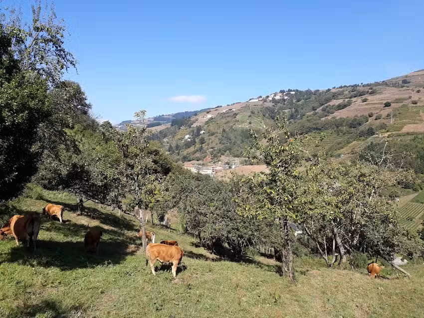 Casa de Aldea Palacio de Ardaliz