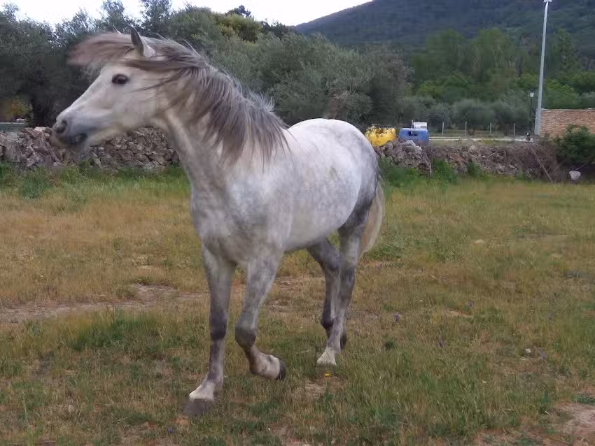 Casa de Campo El Corzo
