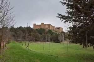 Casa de Convivencias El Bosque