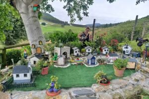 Casa Del Rey y Nueva casa del Rey