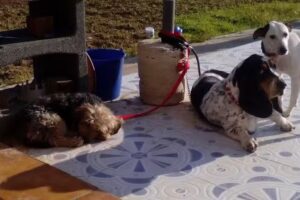 Casa En Parcela Rustica