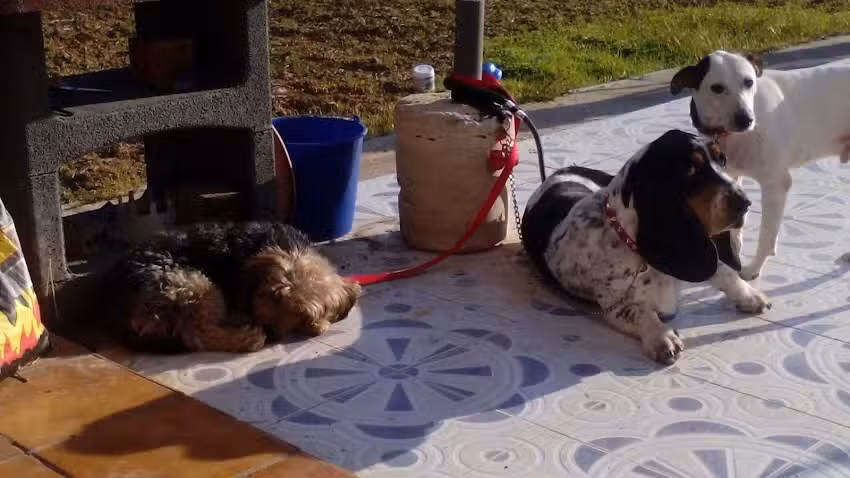 Casa En Parcela Rustica