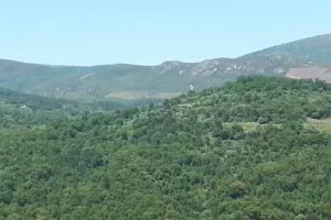 Casa La Almazara I y II