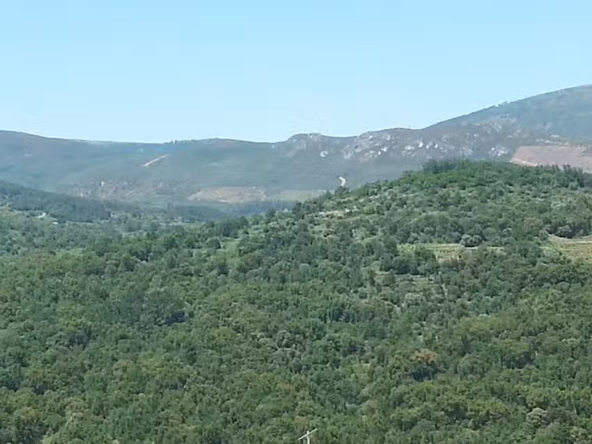 Casa La Almazara I y II