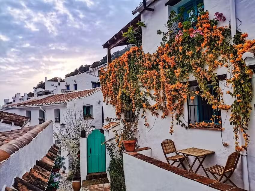 Casa La Higuera el Acebuchal