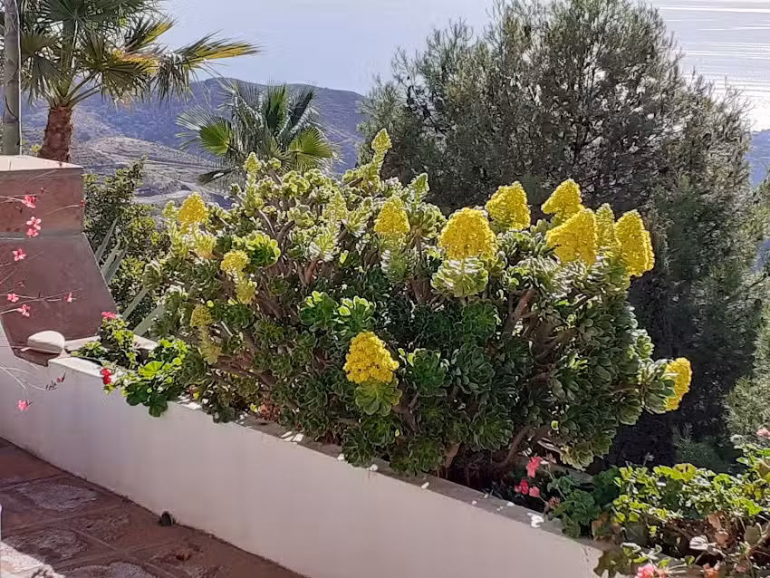 Casa Luisa