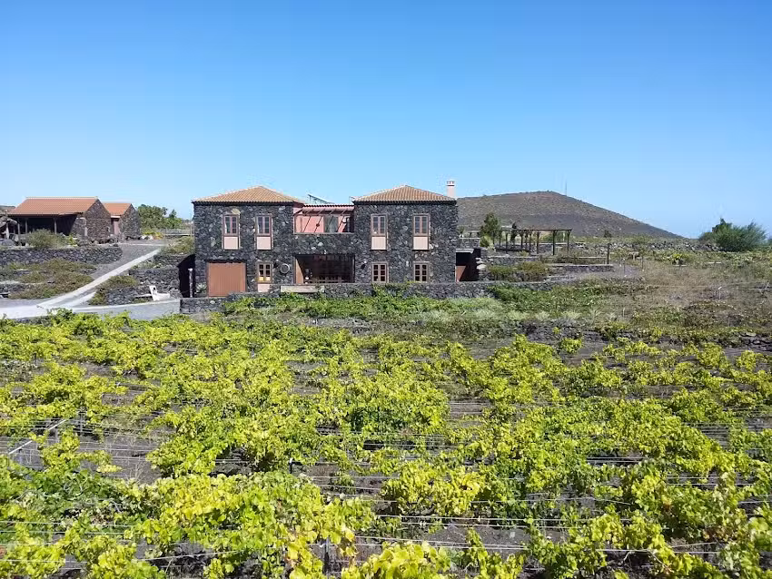 Casa Mango