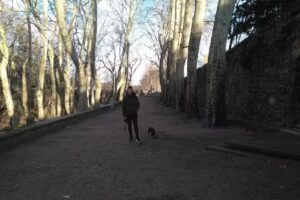 Casa Olot – El solell de l’àvia