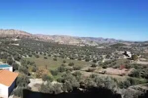 Casa Pelecha | Alquiler Vacacional Férez