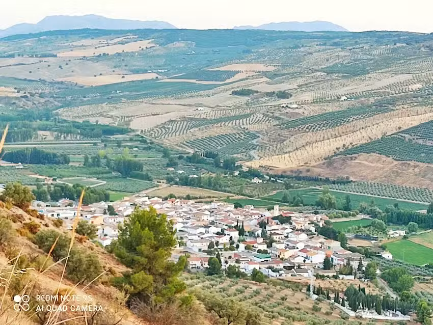 Casa Pepita