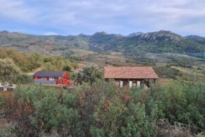 Casa roja. La brizna
