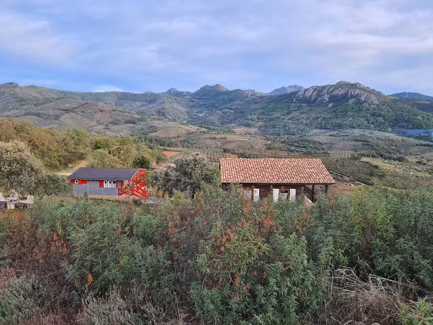 Casa roja. La brizna