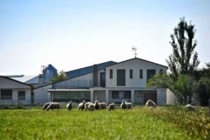 Casa Rural Bardenas Park