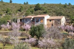 Casa Rural Barranc del Minyo