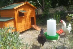 Casa rural Basaula – Agroturismo en Navarra