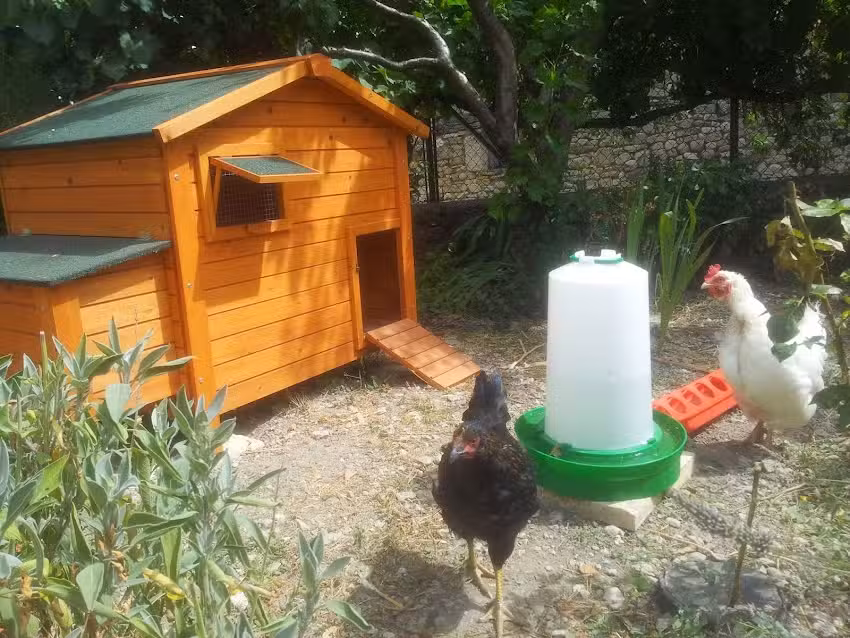 Casa rural Basaula – Agroturismo en Navarra