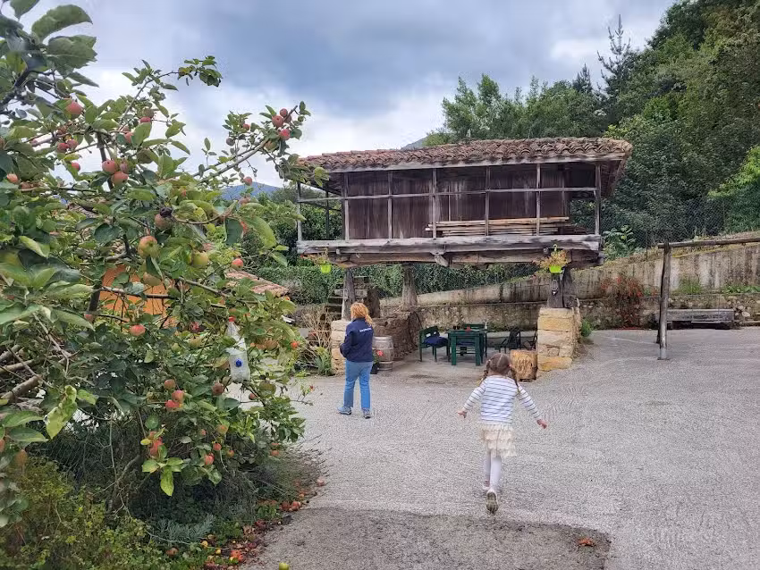 Casa Rural Blasón en Belmonte