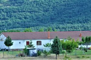 Casa Rural Buenavista