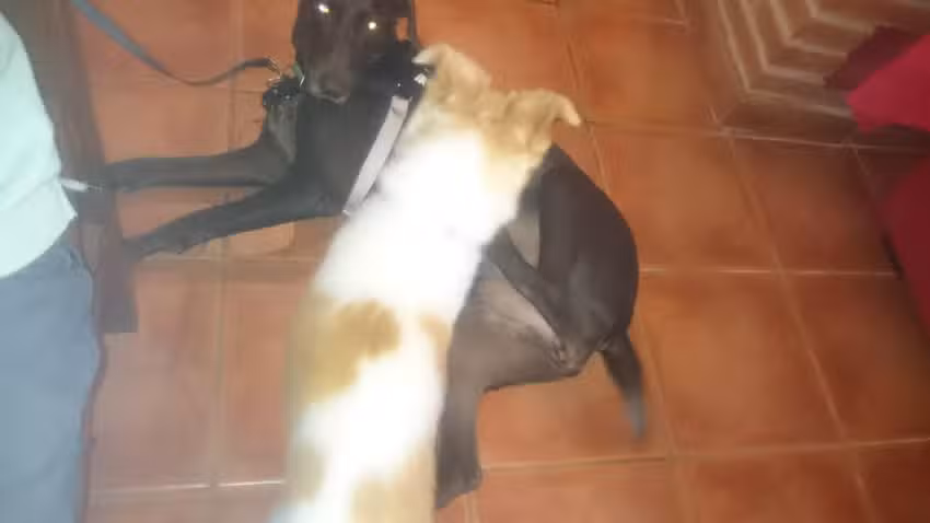 Casa Rural Cal Boles