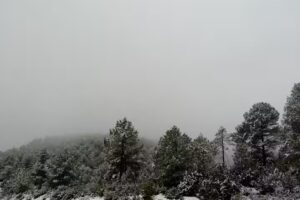 Casa Rural “Carli”.