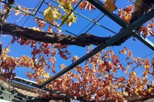 Casa Rural Casa de los Godoy