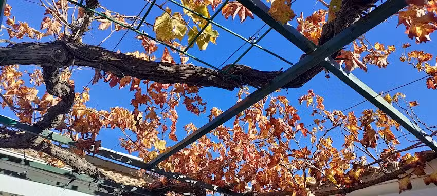 Casa Rural Casa de los Godoy