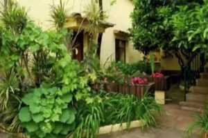 Casa Rural: Casa de Tio Felix