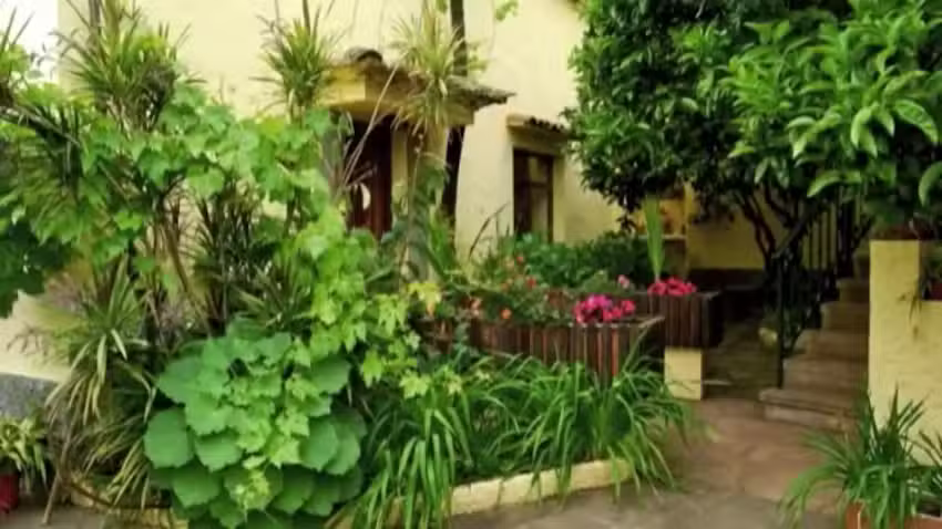 Casa Rural: Casa de Tio Felix