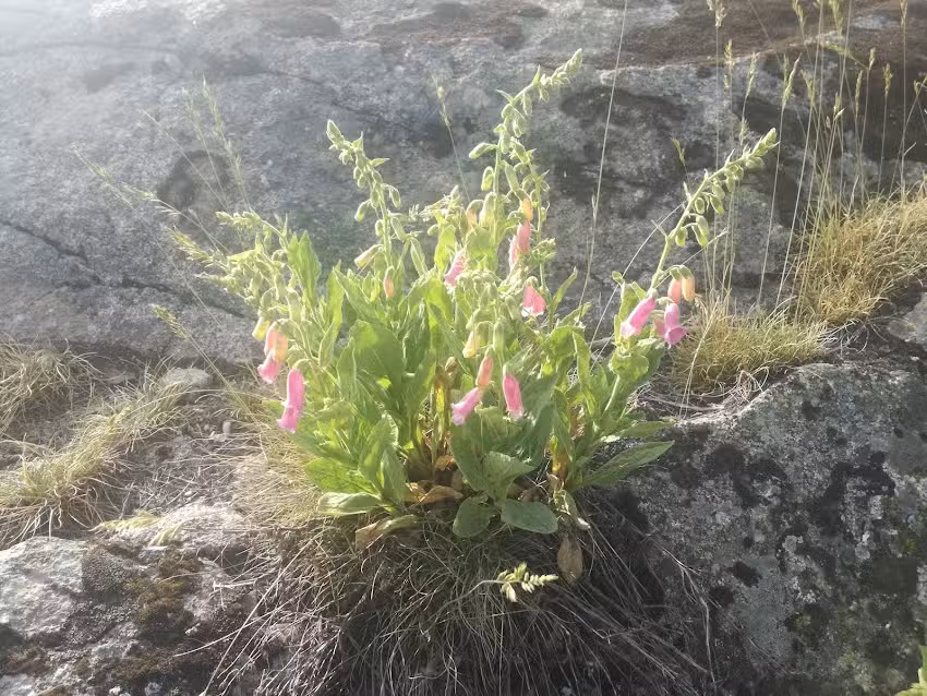Casa Rural Casillo del Cerro