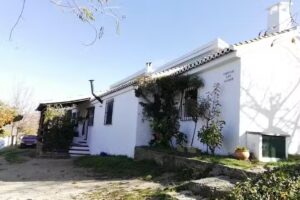 Casa Rural Cortijo Los Llanos
