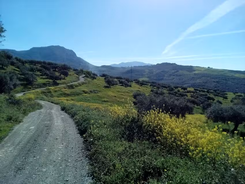 Casa Rural Cortijo Zapata