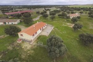 Casa Rural Dehesa de Montealto