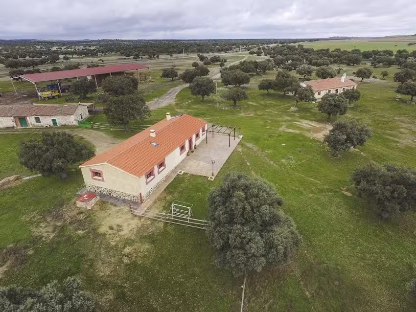 Casa Rural Dehesa de Montealto