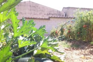 Casa Rural del Priorato