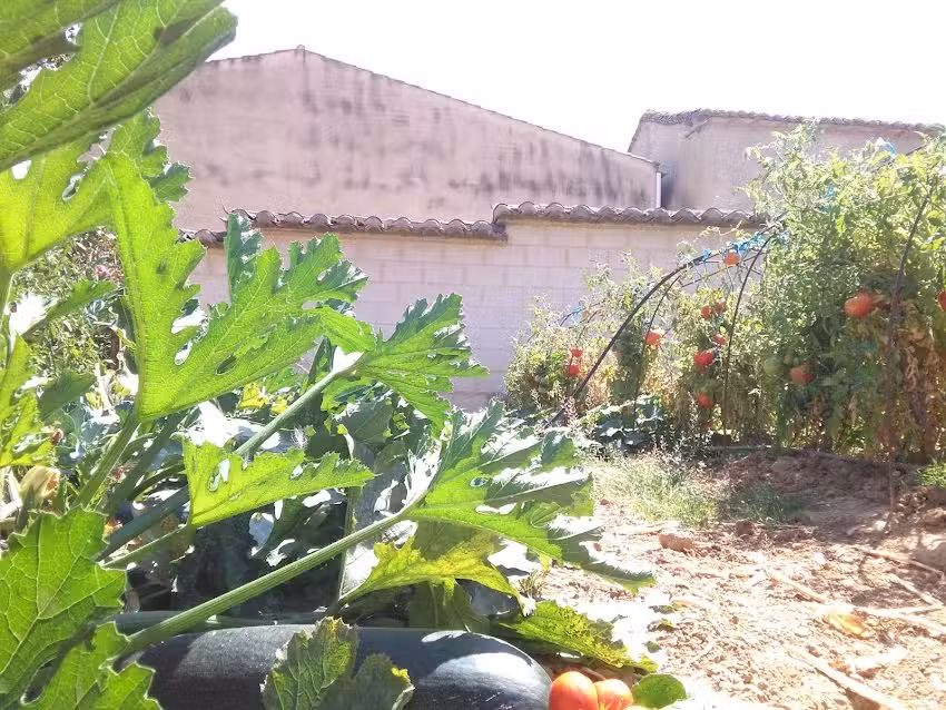 Casa Rural del Priorato