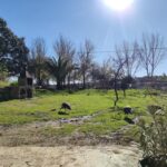 Casa Rural El Acebuche