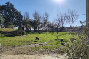 Casa Rural El Acebuche