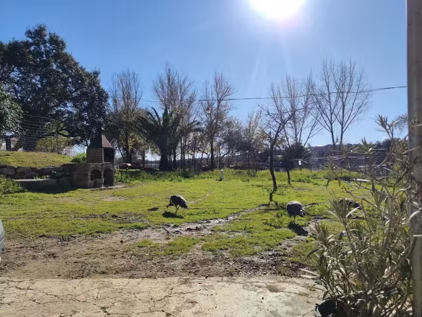 Casa Rural El Acebuche