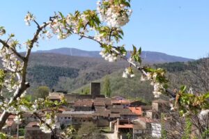 Casa Rural El Castillo